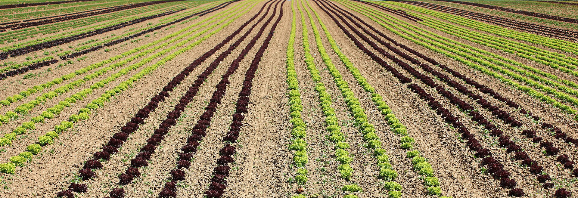A conceptual framework for landscape-based ERA of pesticides